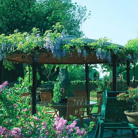 Wisteria Herne