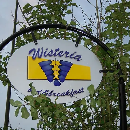 Wisteria Herne