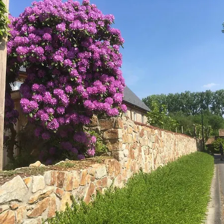 Bed & Breakfast Wisteria