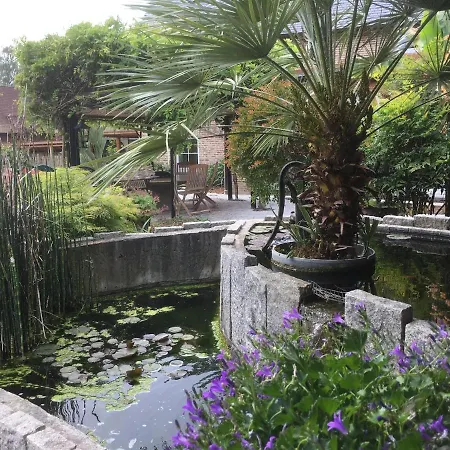 Wisteria Bed & Breakfast